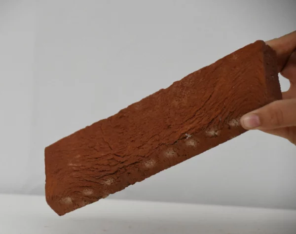 Briquette de parement rouge